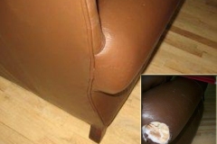 furniture-leather